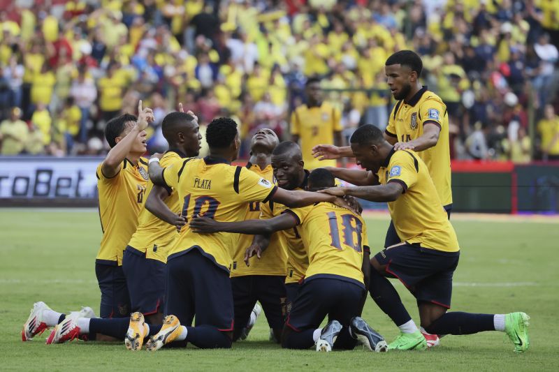 Ecuador sở hữu thế hệ cầu thủ trẻ giàu tiềm năng và được đánh giá là đối thủ lớn nhất của Đức trong cuộc đua đầu bảng.
